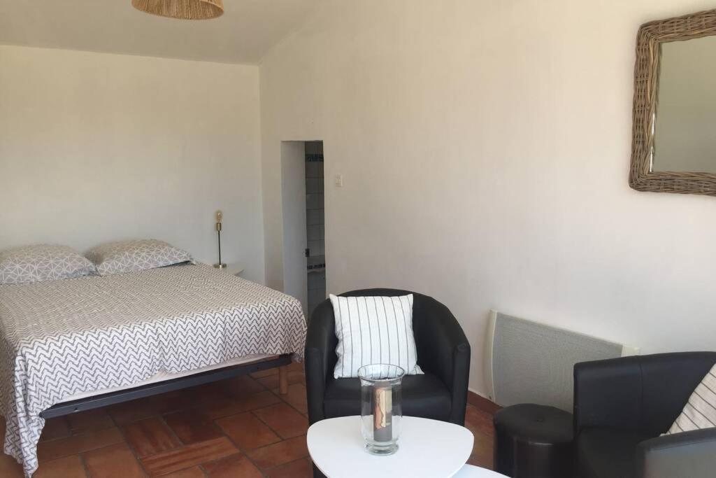 Villa Cabanon de charme en plein coeur des vignes à Pertuis Extérieur photo