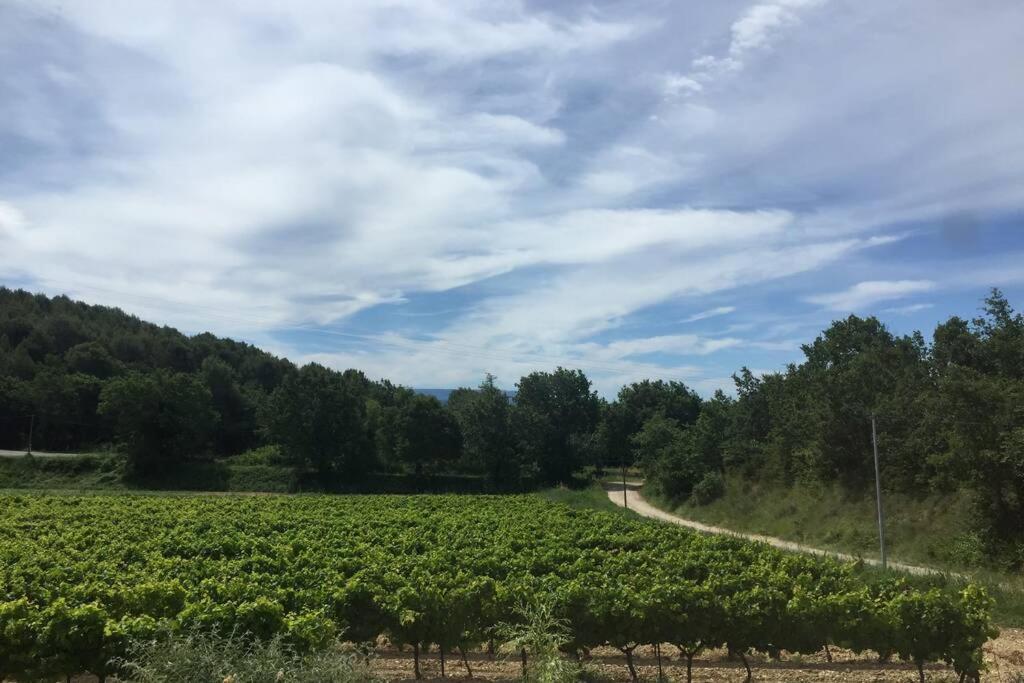 Villa Cabanon de charme en plein coeur des vignes à Pertuis Extérieur photo