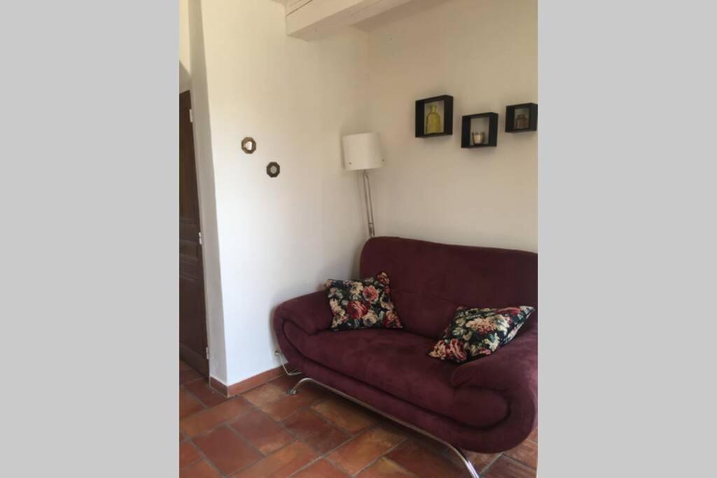 Villa Cabanon de charme en plein coeur des vignes à Pertuis Extérieur photo