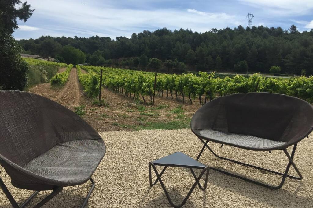 Villa Cabanon de charme en plein coeur des vignes à Pertuis Extérieur photo