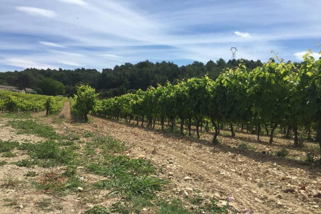 Villa Cabanon de charme en plein coeur des vignes à Pertuis Extérieur photo